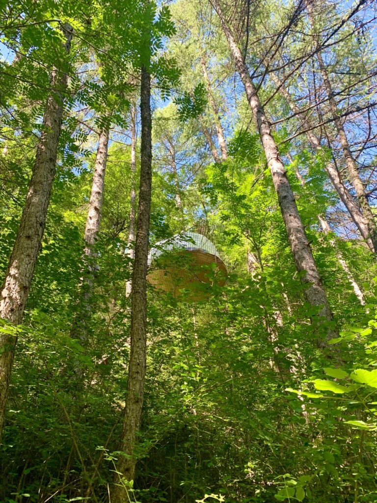 Les cabanes en paca, une aventure insolite 