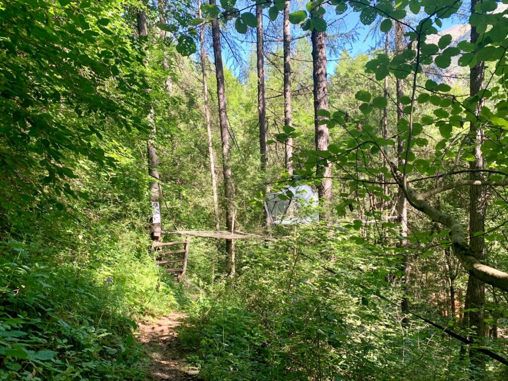 Nos hébergement en cabane paca, comme ici une bulles dans les arbres vous accueil de Mai à Septembre